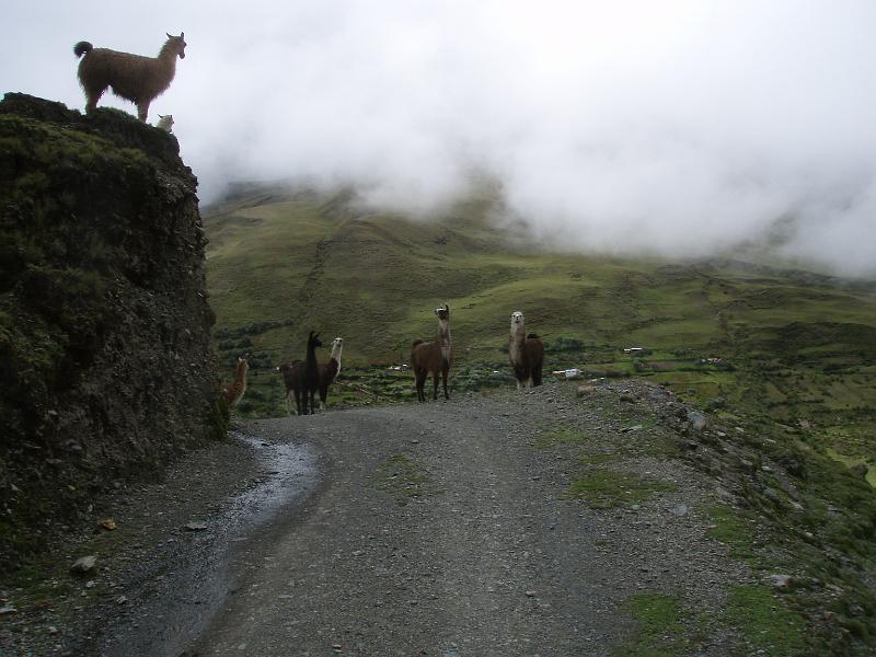 Illampu Trek (13).JPG